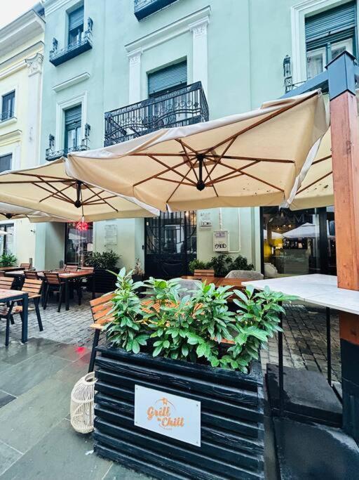 Apartment Hidden Gem In The Old Town Timisoara