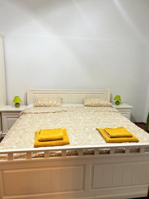 Hidden Gem In The Old Town Apartment Timisoara