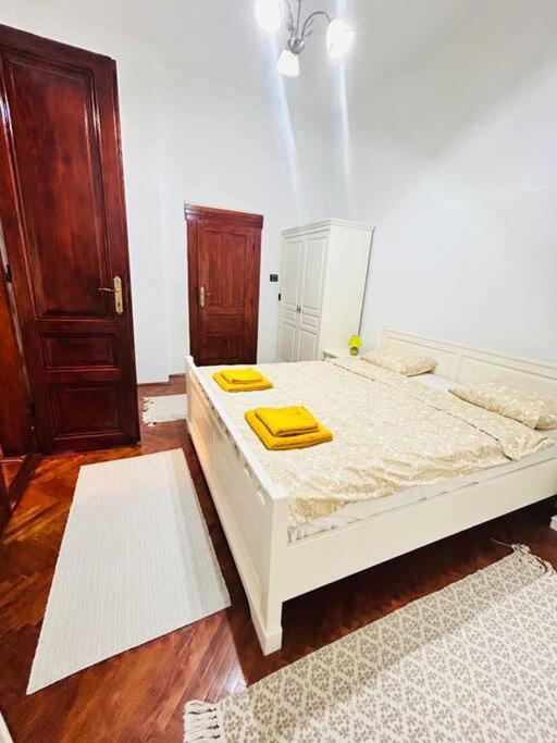 Hidden Gem In The Old Town Apartment Timisoara