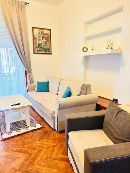 Hidden Gem In The Old Town Apartment Timisoara